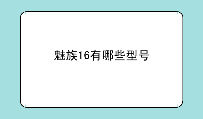 魅族16有哪些型号