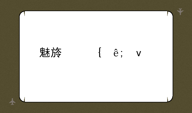 魅族属于杂牌吗？