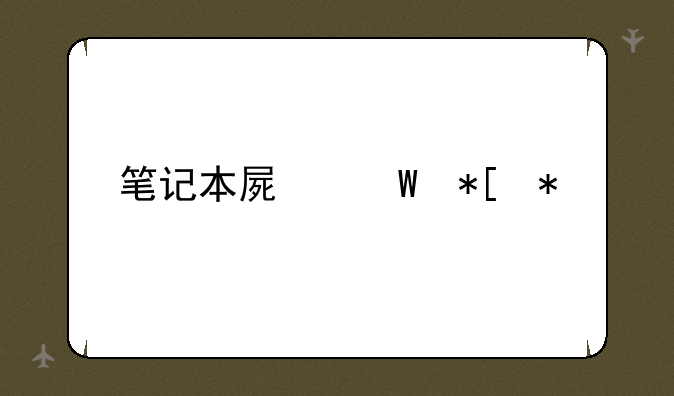 笔记本屏幕抖动
