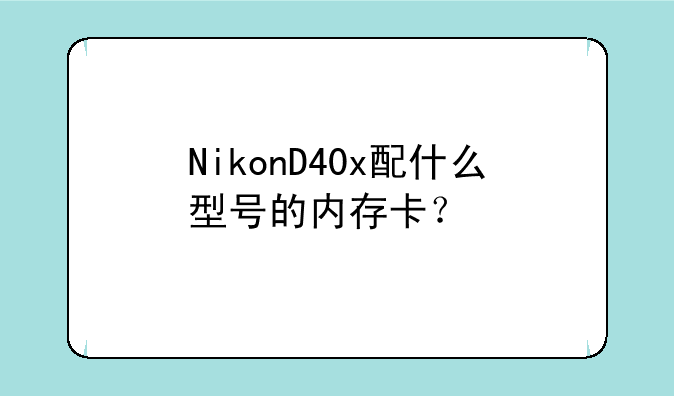 NikonD40x配什么型号的内存卡？