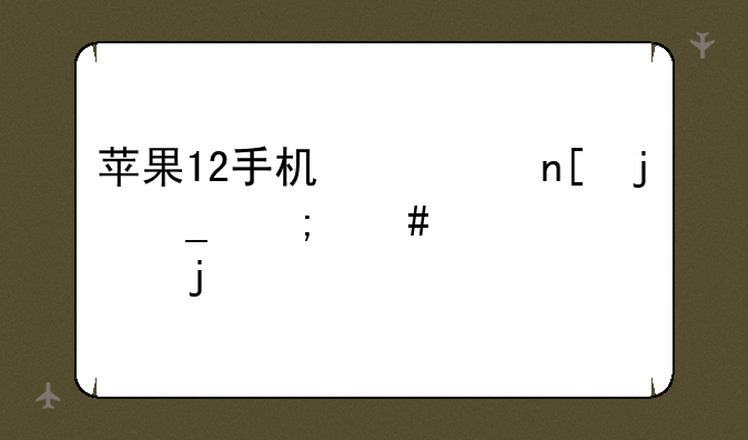 苹果12手机翻盖皮套怎么设置的