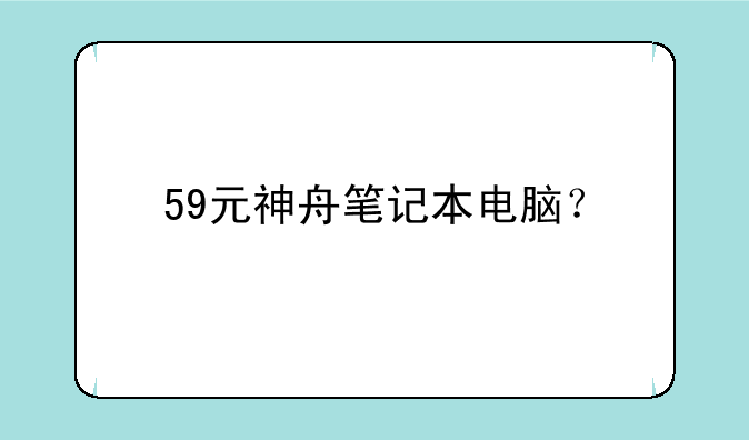 59元神舟笔记本电脑？