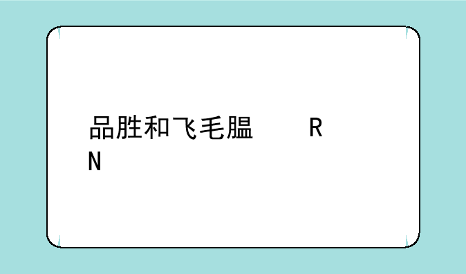 品胜和飞毛腿电池哪个好