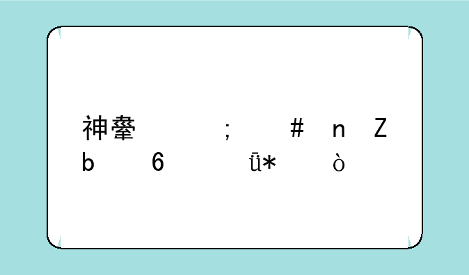 神舟怎么更新显卡驱动？