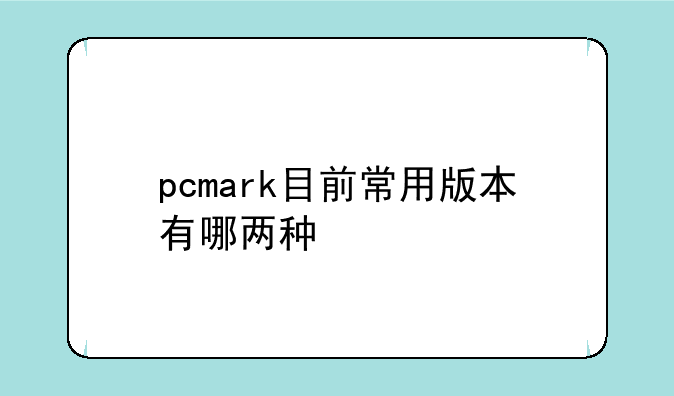 pcmark目前常用版本有哪两种