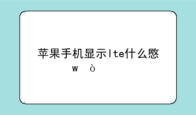 苹果手机显示lte什么意思？
