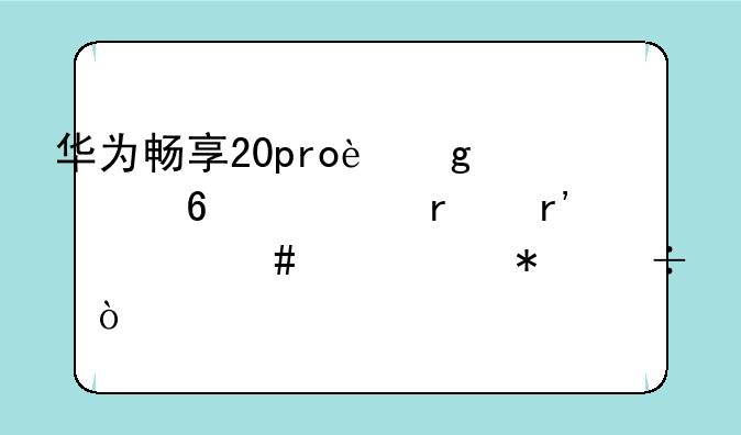 华为畅享20pro这款千元机有什么主要功能？