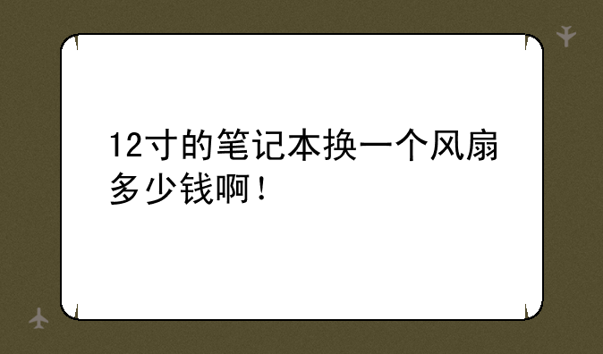 12寸的笔记本换一个风扇多少钱啊！
