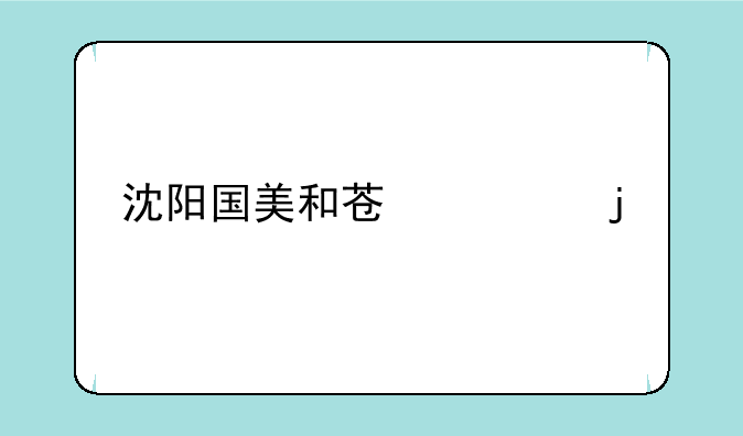 沈阳国美和苏宁的手机诺基亚E63报价