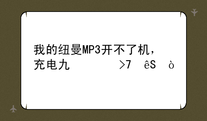 我的纽曼MP3开不了机，充电也没反应？