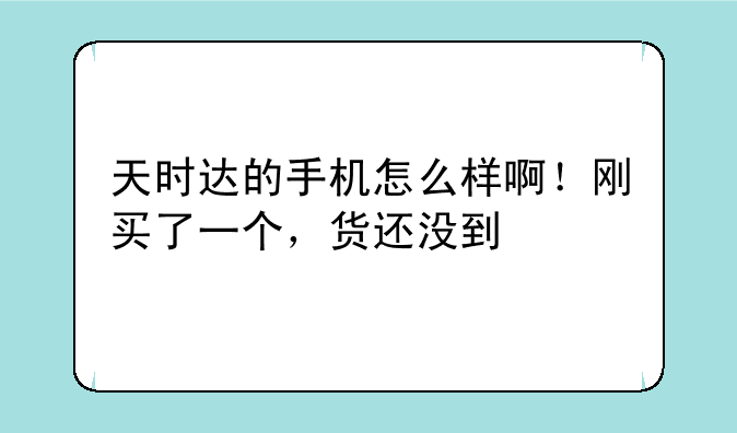 天时达的手机怎么样啊！刚买了一个，货还没到