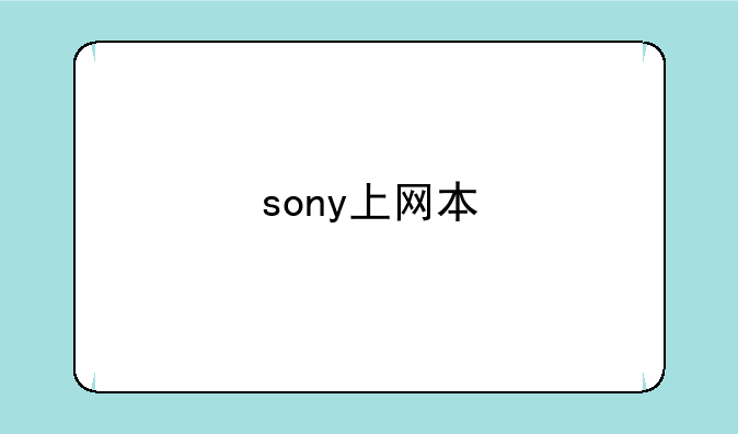 sony上网本