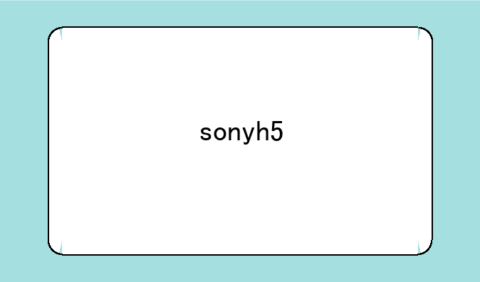 sonyh5