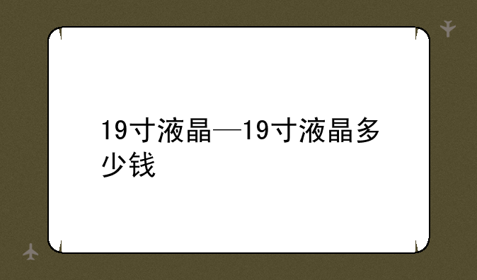 19寸液晶—19寸液晶多少钱