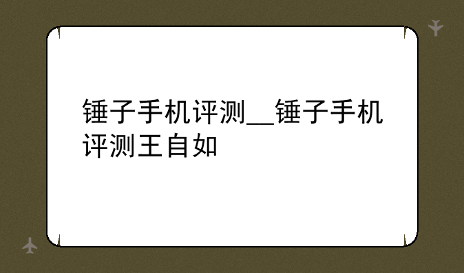 锤子手机评测__锤子手机评测王自如