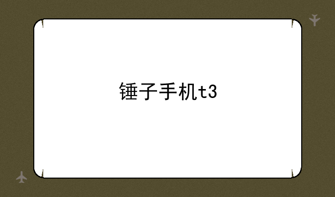 锤子手机t3