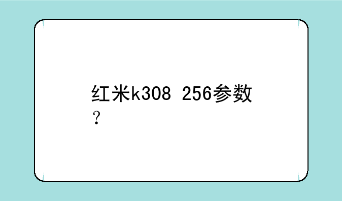 红米k308+256参数？