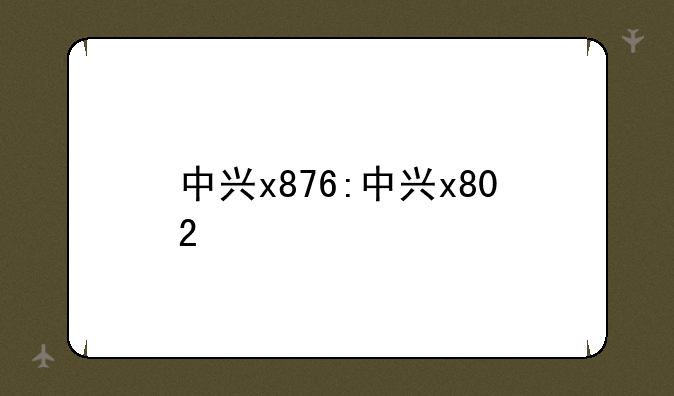 中兴x876:中兴x802