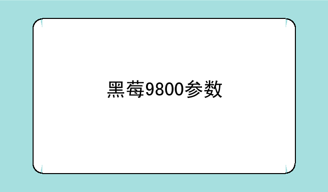 黑莓9800参数