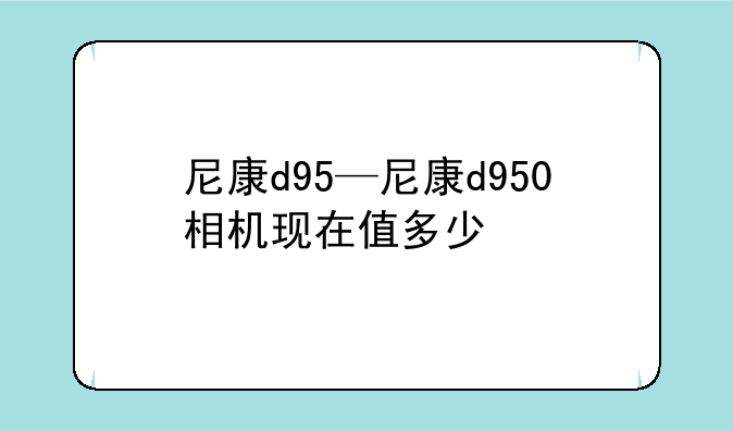 尼康d95—尼康d950相机现在值多少