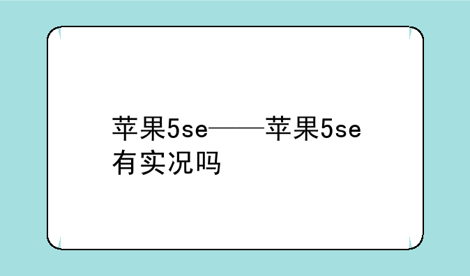 苹果5se——苹果5se有实况吗