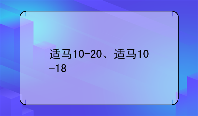 适马10-20、适马10-18