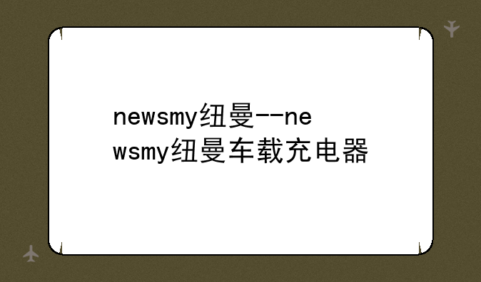 newsmy纽曼--newsmy纽曼车载充电器